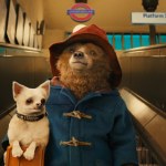 Ruszyły prace nad trzecią częścią "Paddingtona"