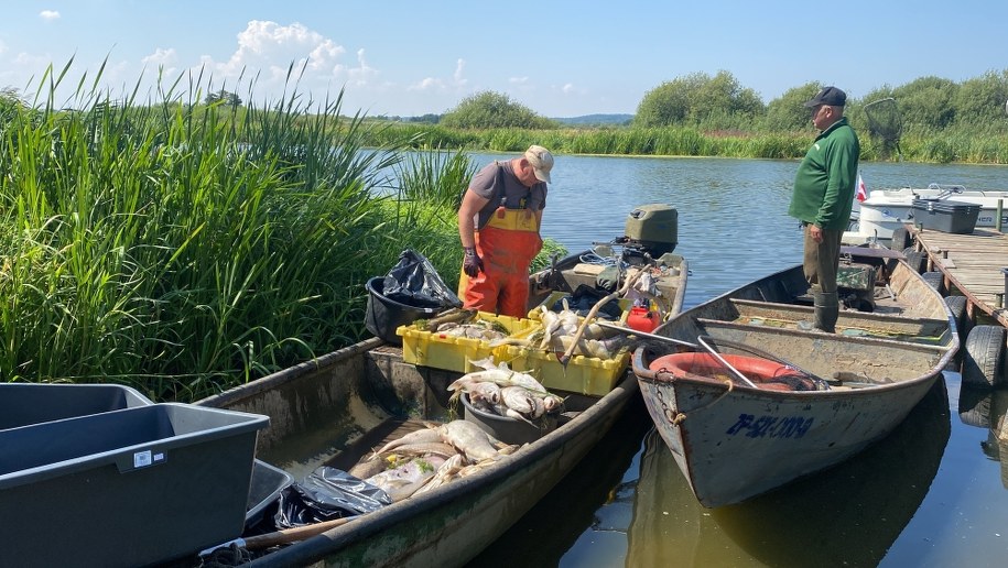 Rybacy wyciągający z Odry śnięte ryby (zdj. archiwalne) /Aneta Łuczkowska /RMF FM