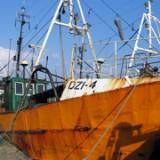 Rybacy zapowiadają blokadę portów, jeżeli nie dostaną pieniędzy do końca miesiąca /RMF FM