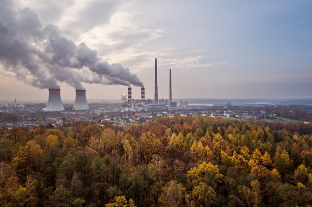 Rybniczanin prawomocnie wygrał ze Skarbem Państwa sprawę o smog /Shutterstock