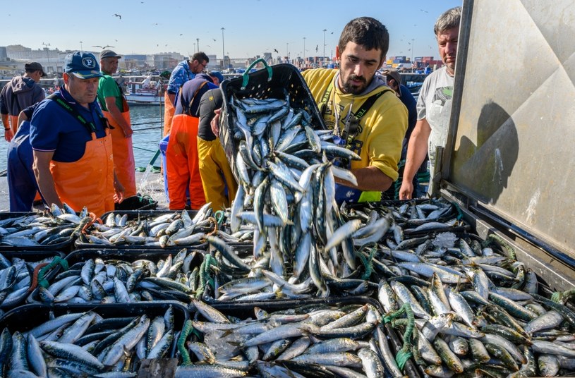 Rybołówstwo stanowi fundament gospodarek wielu krajów na świecie. Ale brak ryb to problem nie tylko ekonomiczny /Getty Images