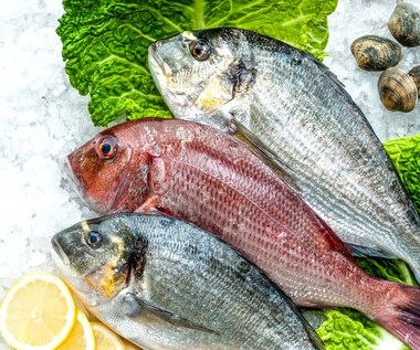 Ryby: Jakie jeść, a których unikać?