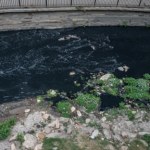 Ryby nafaszerowane lekami. Polacy wymyślili sposób na odtrucie rzek