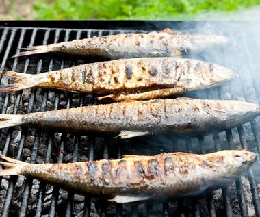 Ryby najlepsze do grillowania