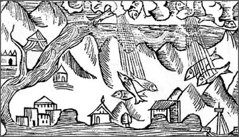 Rycina Olausa Magnusa z 1555 roku przedstawiająca deszcz ryb / źródło: wikipedia /domena publiczna