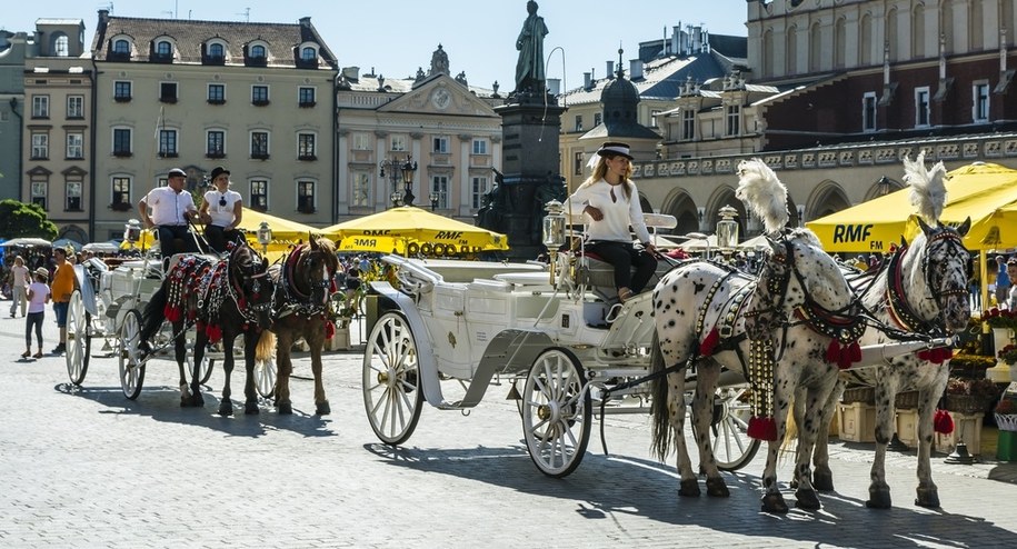 Rynek Główny w Krakowie /Shutterstock