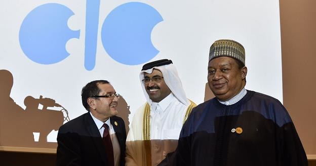 Rynek nie docenił decyzji OPEC /AFP