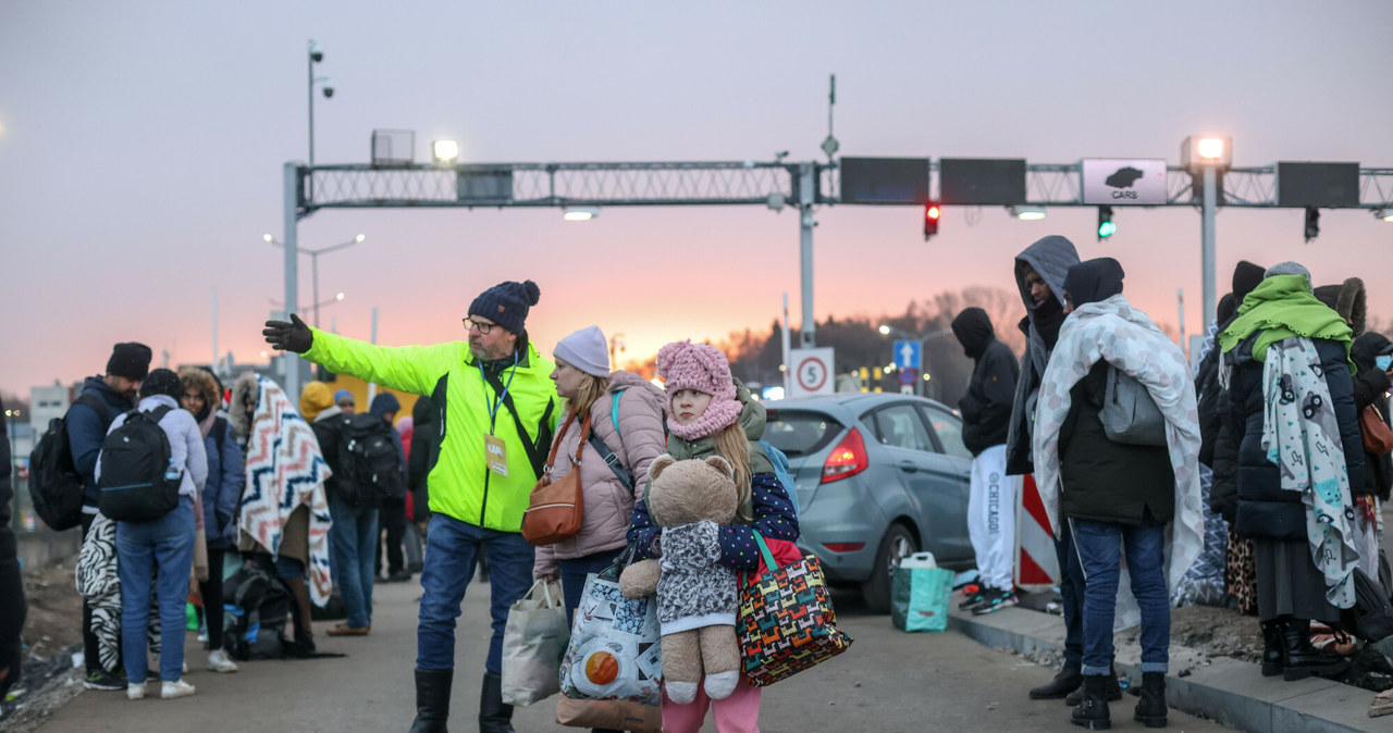 Rynek pracy szerzej otwarty dla Ukraińców. Będą nowe przepisy / Andrzej Iwanczuk /Reporter