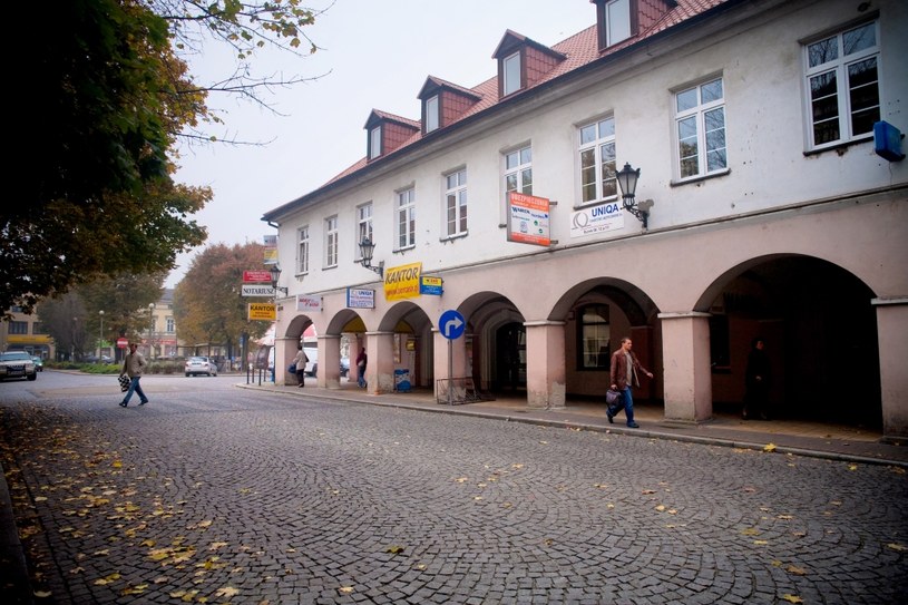 Rynek w Oświęcimiu jeszcze przed ścięciem drzew /Karolina Sekuła /Agencja FORUM
