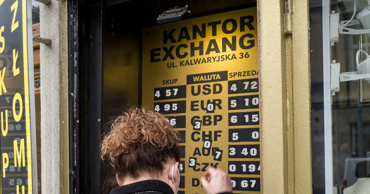 Rynek walutowy. Co dalej z kursem euro i złotego? /Tadeusz Koniarz /Reporter