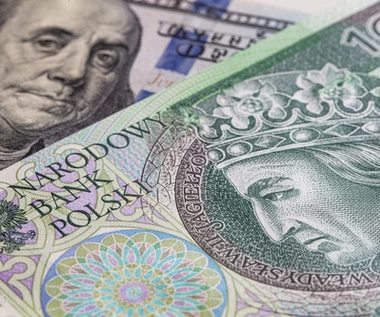 Rynek walutowy: Złoty przegrywa z euro, ale wygrywa z dolarem. Co dalej?