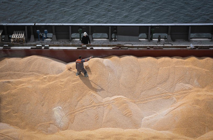 Rynki boją sie o podaż pszenicy /AFP