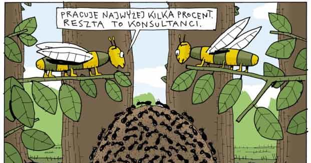 Rys. Andrzej Mleczko /.