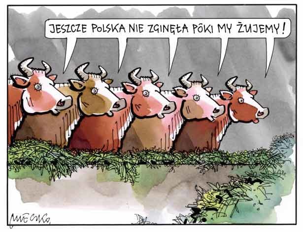 Rys. Andrzej Mleczko /INTERIA.PL