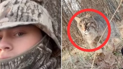 Ryś rudy zaatakował nastolatka (WIDEO)