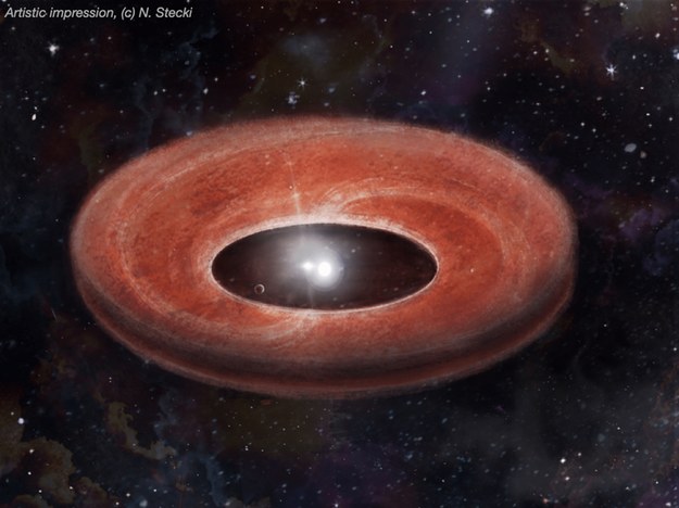 Rysunek dysku protoplanetarnego wokół układu podwójnego gwiazd /© N. Stecki /Materiały prasowe