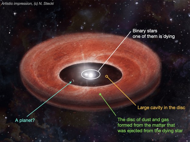 Rysunek dysku wokół układu podwójnego gwiazd z oznaczeniami /CREDIT: © N. STECKI /Materiały prasowe
