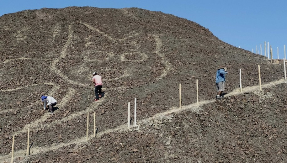 Rysunek kota w Nazca /Ministerstwo Kultury Peru /PAP/EPA