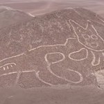 Rysunek kota znaleziony na pustyni Nazca