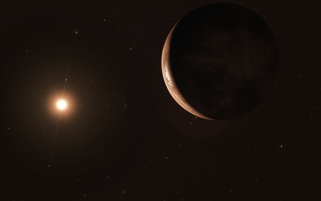 Rysunek nowo odkrytej planety na orbicie Gwiazdy Barnarda /ESO/M. Kornmesser /Materiały prasowe