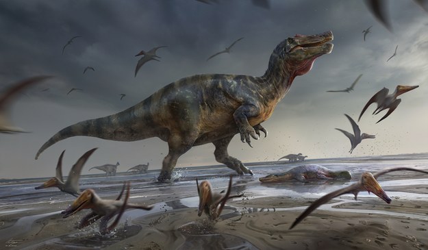 Rysunek spinozauryda White Rock /UoS/Anthony Hutchings /Materiały prasowe