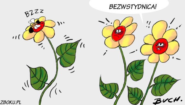 https://i.iplsc.com/rysunek-z-serwisu-zbokupl/0000ZWALSDJK8HRG-C116.jpg
