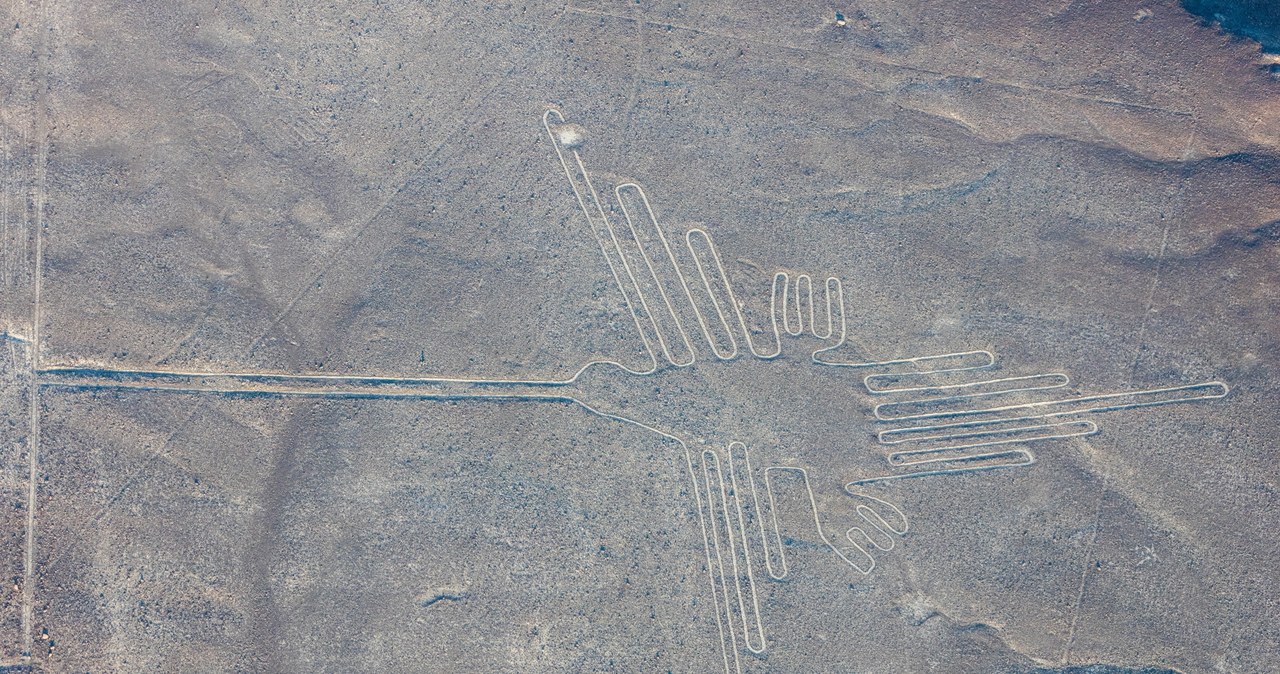 Rysunki z Nazca. Fot. Diego Delso /Wikipedia