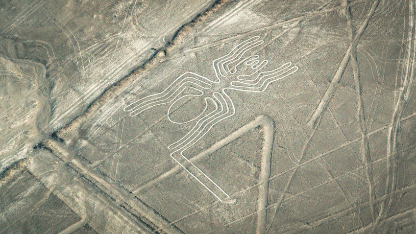 Rysunki z Nazca są dobrze widoczne z powietrza, ale i okolicznych wzgórz /123RF/PICSEL