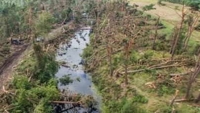 Rytel chce utworzenia samodzielnej gminy