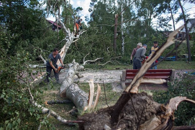Rytel - mieszkańcy sprzątają powalone drzewa /Jan Dzban /PAP