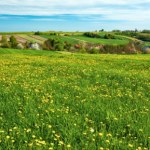 wiosna Rytuały na pierwszy dzień wiosny. Wierzono, że przynoszą szczęście