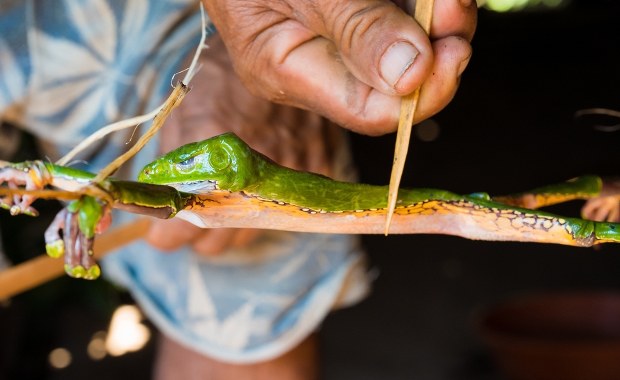 Rytuały, narkotyki i przestępstwa seksualne. Są zarzuty dla fałszywego szamana