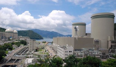 Ryż z Fukushimy zdatny do spożycia