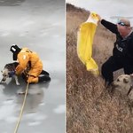 Ryzykował życiem, by uratować psa, pod którym załamał się lód