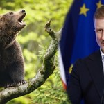 Rząd chce uratować niedźwiedzie przed odstrzałem. Jest jeden warunek