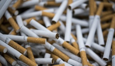 Rząd jest nieugięty. Akcyza na tytoń w górę w 2025 w dwóch etapach