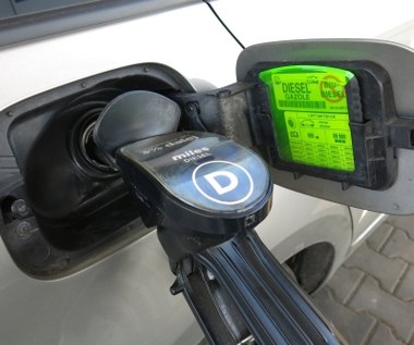 Rząd może łatwo obniżyć cenę paliwa. Ale nie chce