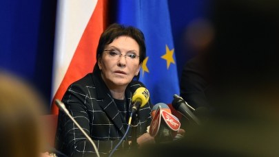 Rząd spęcznieje od pełnomocników Ewy Kopacz