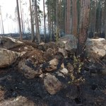Rząd Szwecji prosi NATO o pomoc w gaszeniu pożarów lasów