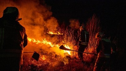Rząd szykuje bat na podpalaczy. Zmiany mają być radykalne