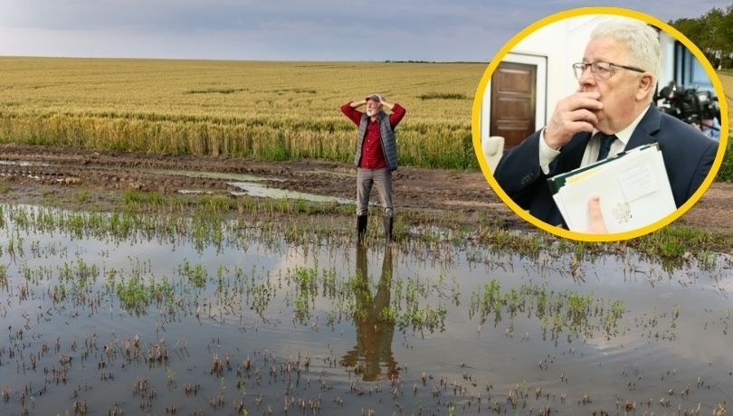 Rząd szykuje pomoc dla rolników po klęskach żywiołowych /Anita Walczewska/East News /Shutterstock