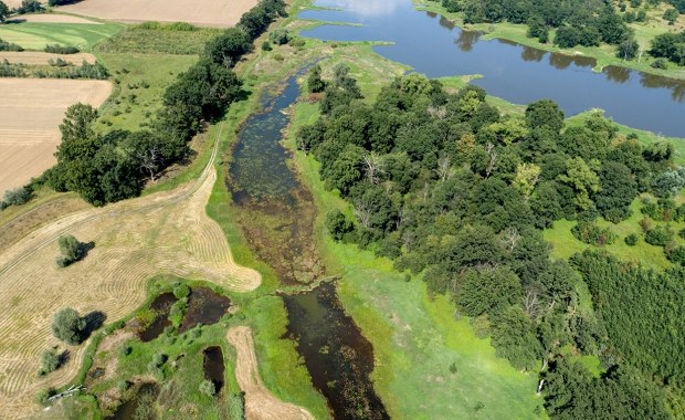 Rząd szykuje przełomową decyzję. Nowy park narodowy nad Odrą coraz bliżej