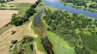 Rząd szykuje przełomową decyzję. Nowy park narodowy nad Odrą coraz bliżej
