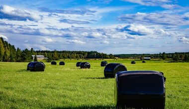 Rząd szykuje ważne zmiany dla rolników. Projekty już są