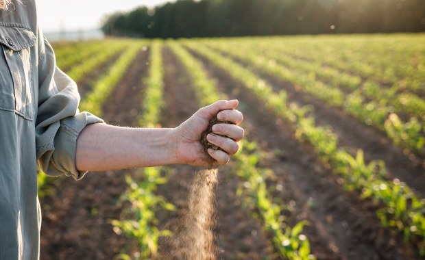Rząd wesprze rolnictwo. Setki milionów złotych na odszkodowania