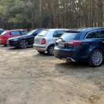 Rząd zaostrzy kary dla kierowców. Straty w lasach wzrosły 40-krotnie