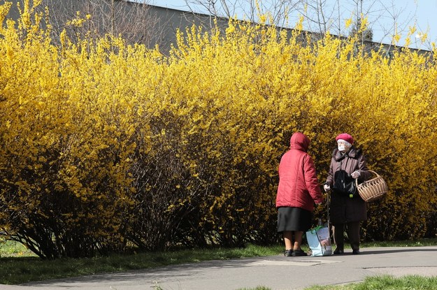 Rząd zapowiada wyższe emerytury minimalne /Paweł Supernak /PAP