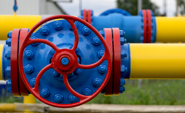 Rząd złożył skargę do TSUE na rozporządzenie o redukcji gazu