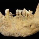 Szkocja Rzadkie odkrycie archeologiczne w Szkocji. Złota ligatura sprzed 500 lat