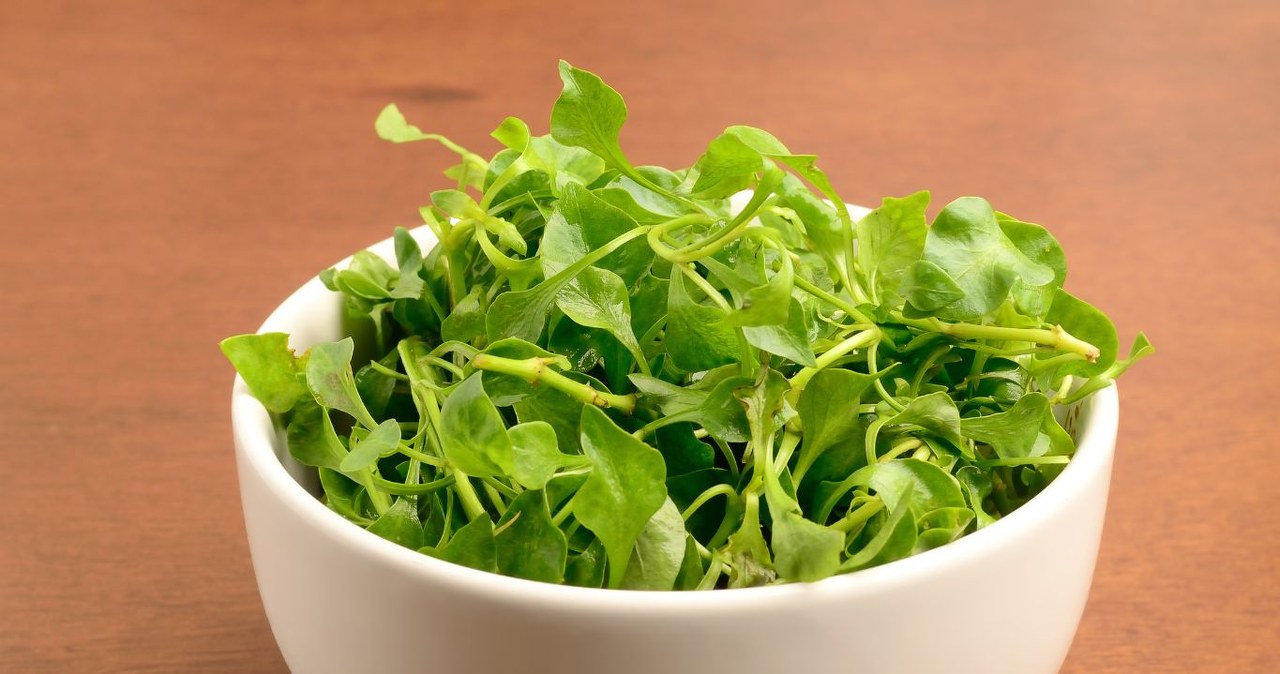 Rzadko kupujemy tę wartościową roślinę, z powodzeniem można ją uprawiać w domu. /nungning20 /Canva Pro